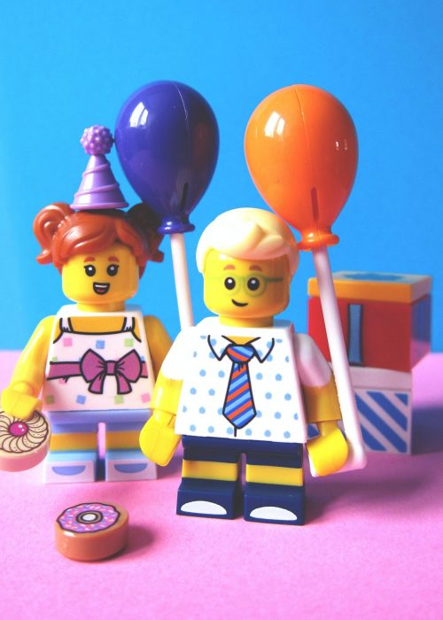 LEGO Party